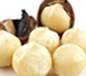 macadamia
